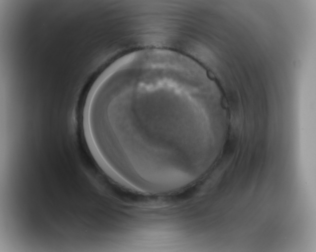 X0000089850674200707191903