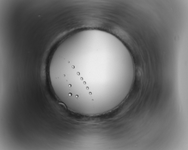 X0000089850676200707191903