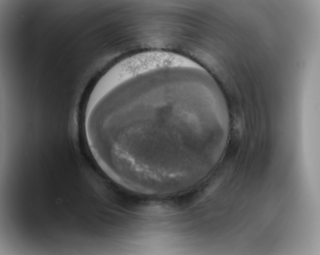 X0000089850678200707191903