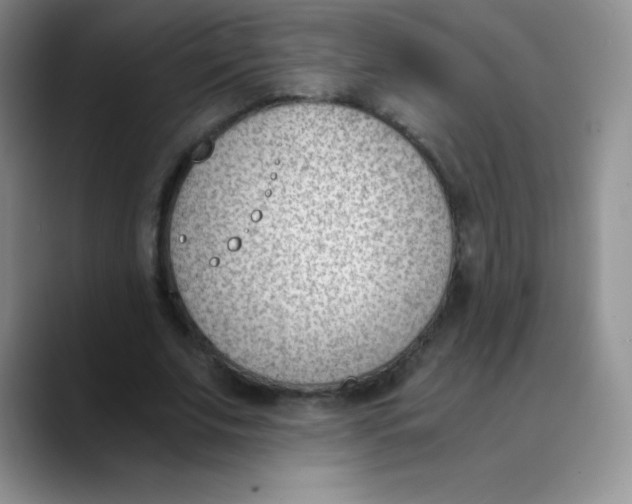 X0000089850679200707191903