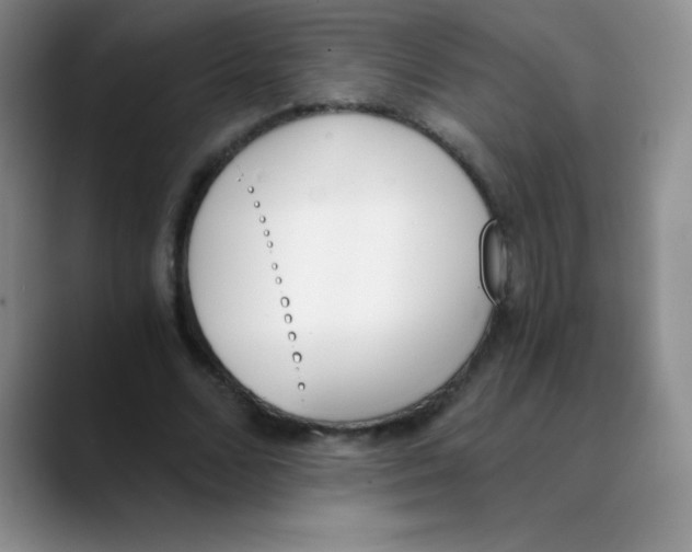 X0000089850680200707191903