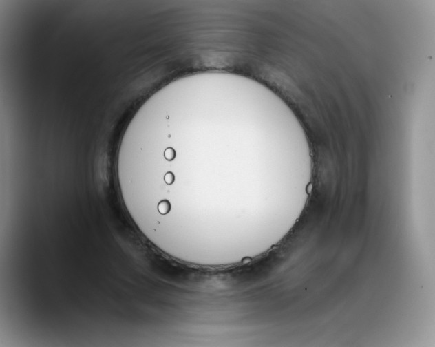 X0000089850683200707191902