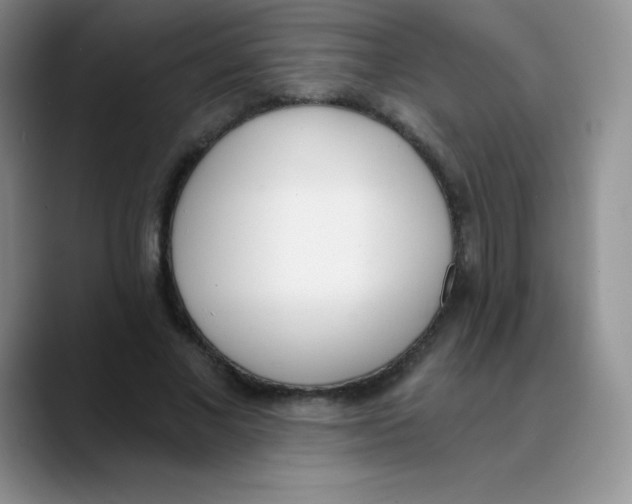 X0000089850685200707191902