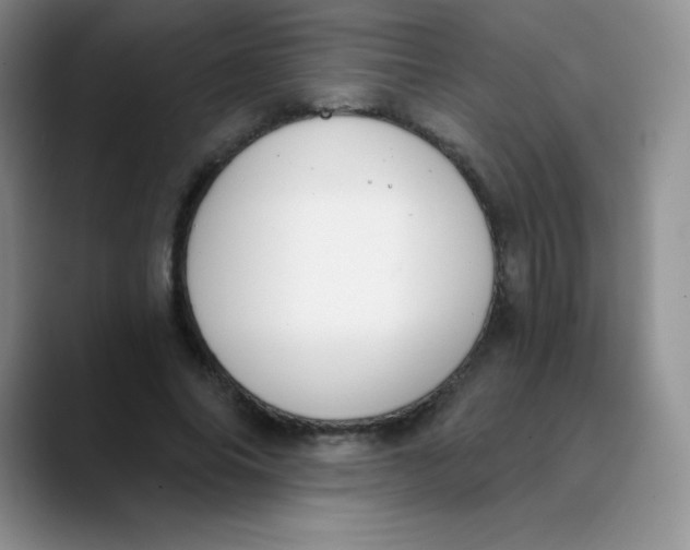 X0000089850686200707191902