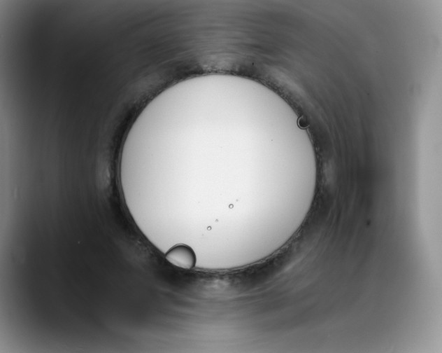 X0000089850687200707191902