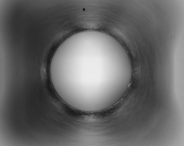 X0000089850688200707191902