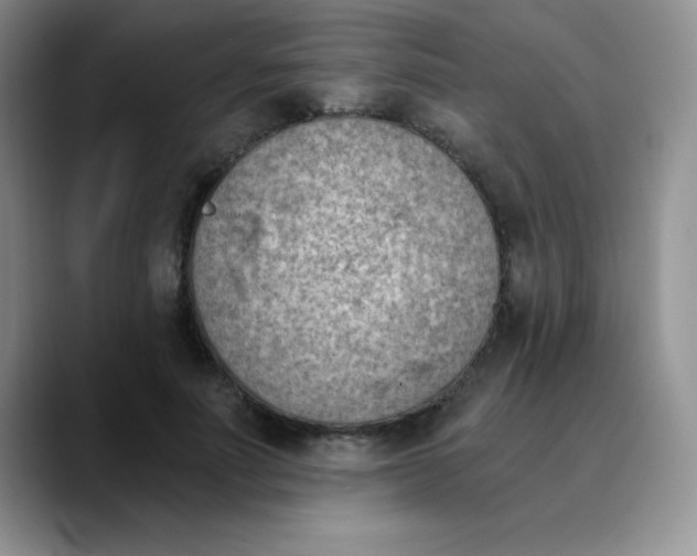 X0000089850691200707191902