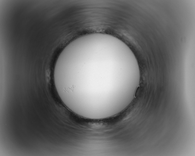 X0000089850693200707191902