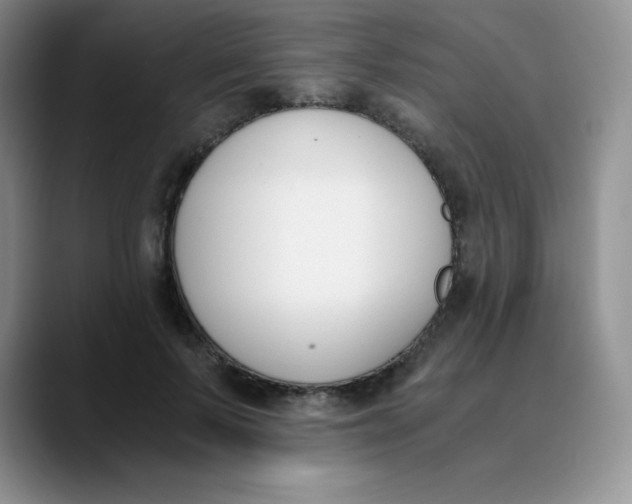 X0000089850695200707191902