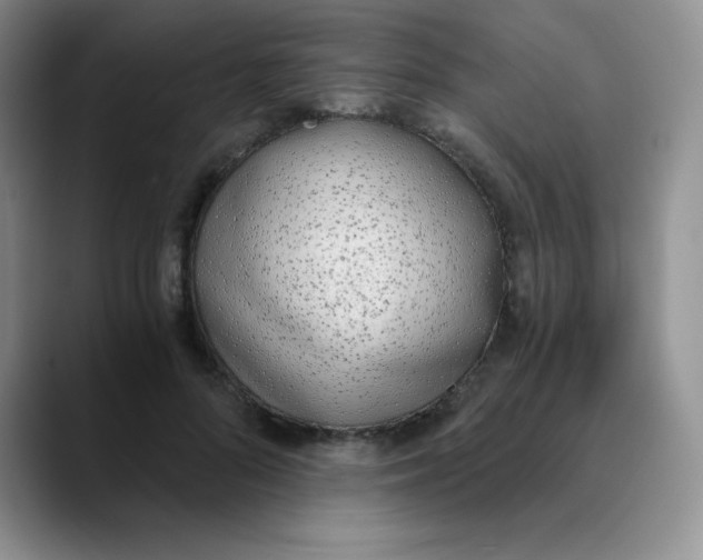 X0000089850696200707191902