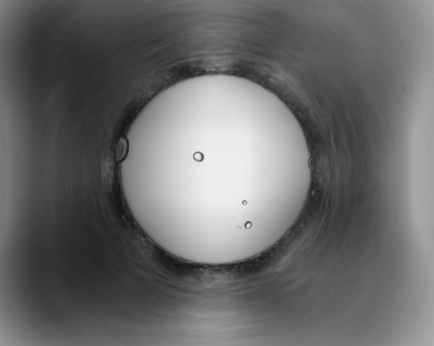 X0000089850697200707191902