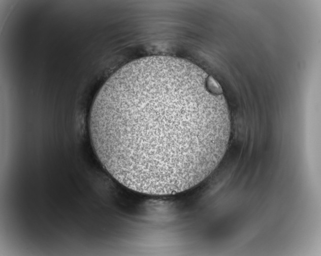 X0000089850699200707191902