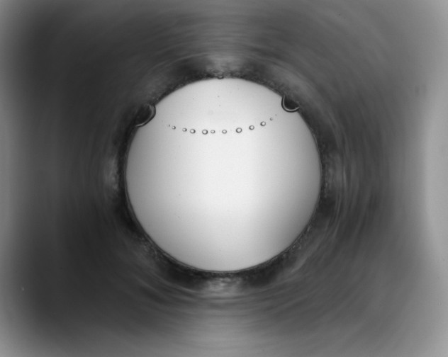 X0000089850700200707191902