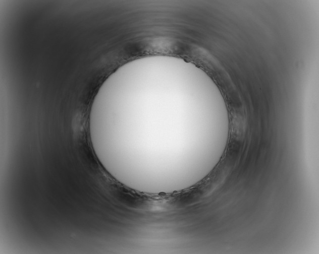 X0000089850701200707191902