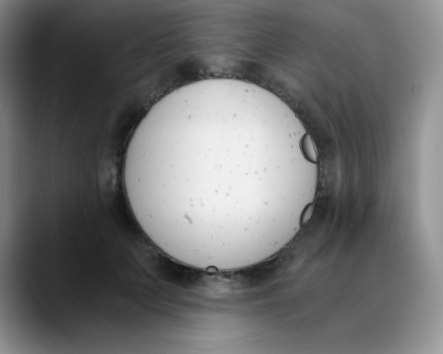 X0000089850703200707191902