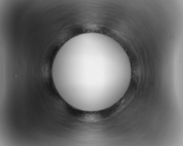 X0000089850708200707191902