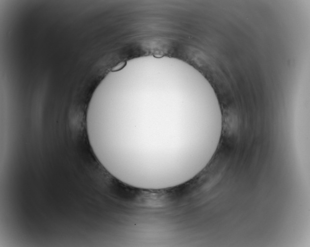 X0000089850713200707191902