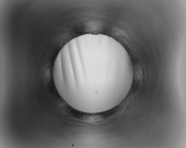 X0000089850716200707191902