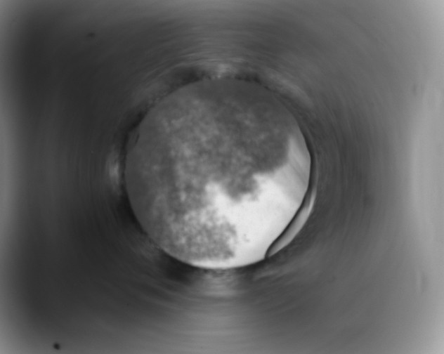 X0000089850720200707191902