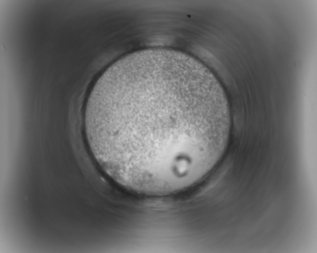 X0000089850721200707191902