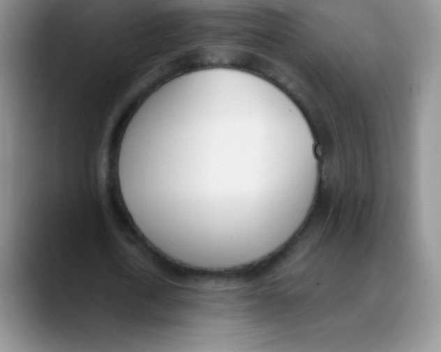 X0000089850722200707191902