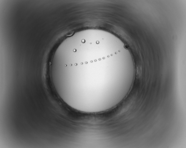 X0000089850724200707191902