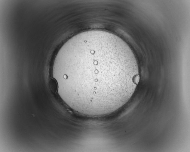 X0000089850725200707191902