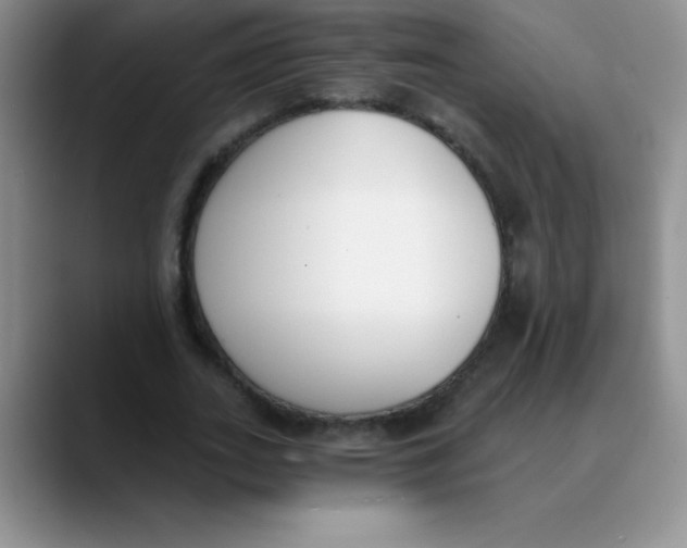 X0000089850727200707191902