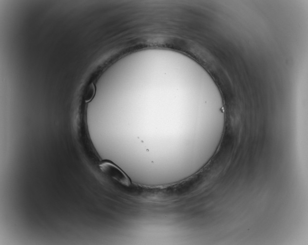 X0000089850728200707191902