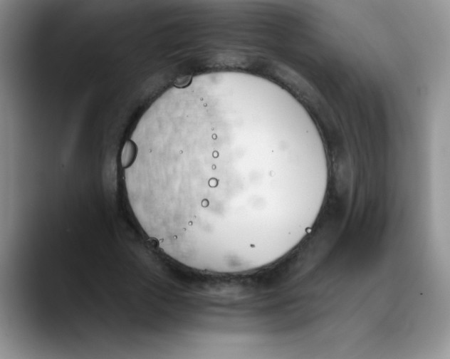 X0000089850729200707191902