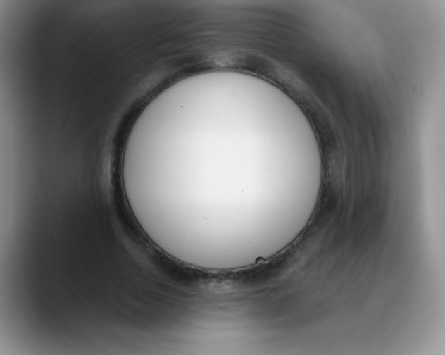 X0000089850730200707191902