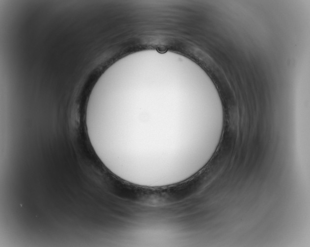 X0000089850731200707191902