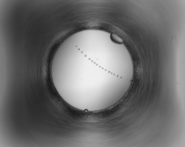 X0000089850732200707191902