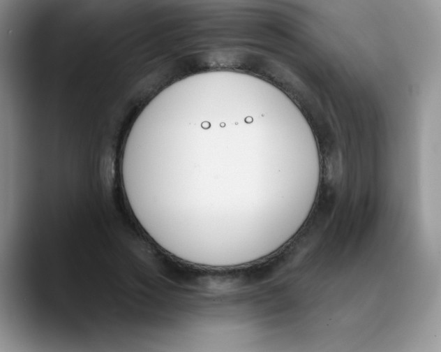 X0000089850733200707191902