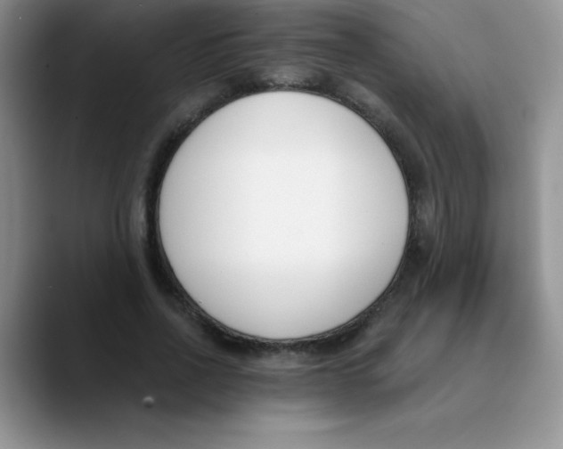 X0000089850734200707191902