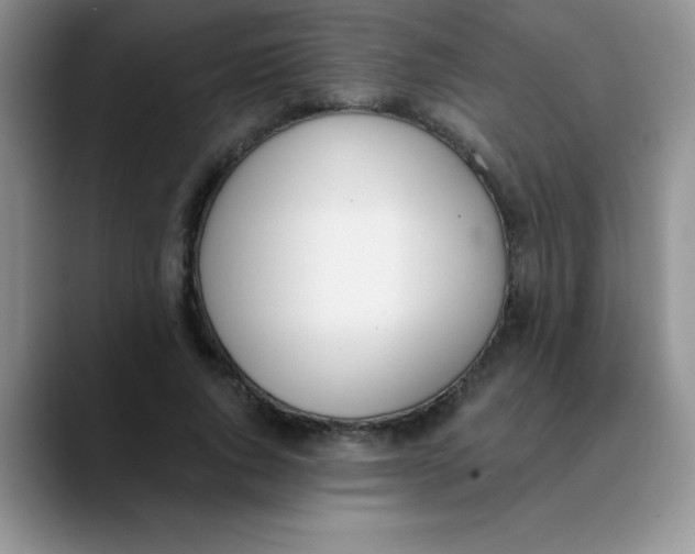 X0000089850736200707191902