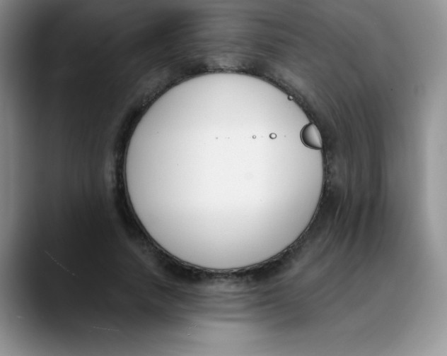 X0000089850738200707191902