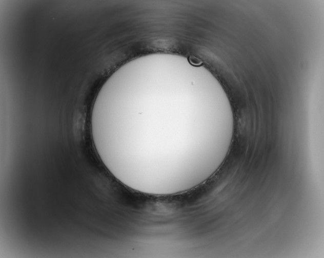 X0000089850739200707191902