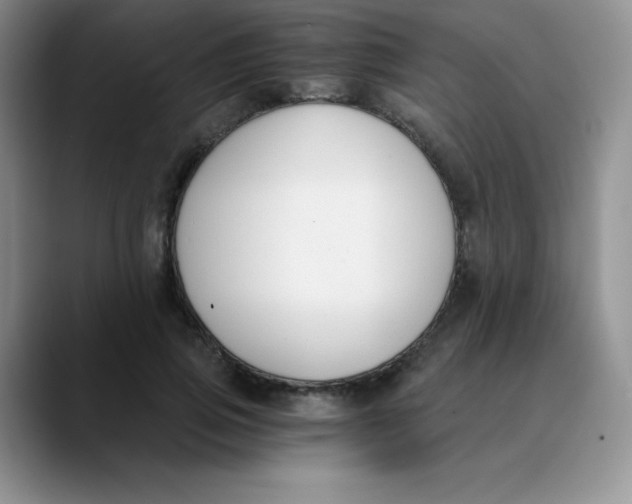 X0000089850741200707191902