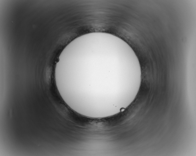 X0000089850742200707191902