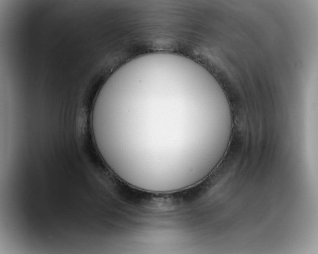 X0000089850744200707191902