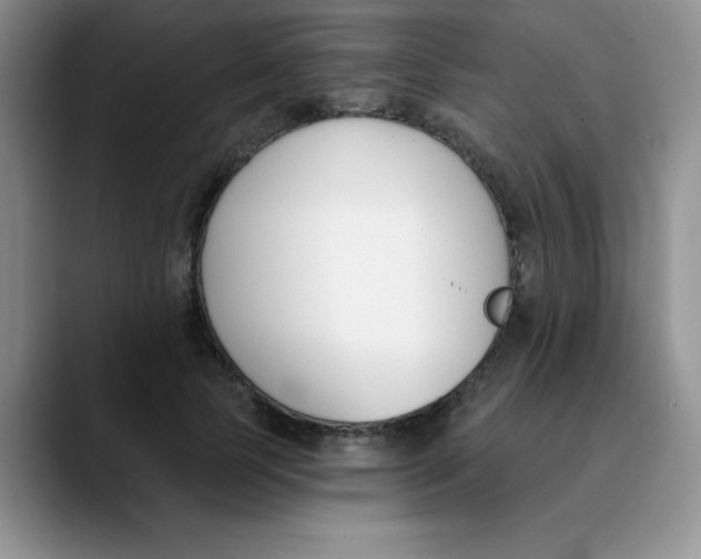 X0000089850745200707191902