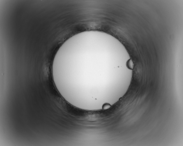 X0000089850746200707191902