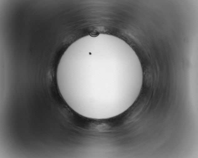 X0000089850747200707191902