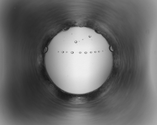 X0000089850748200707191902