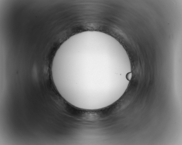 X0000089850749200707191902