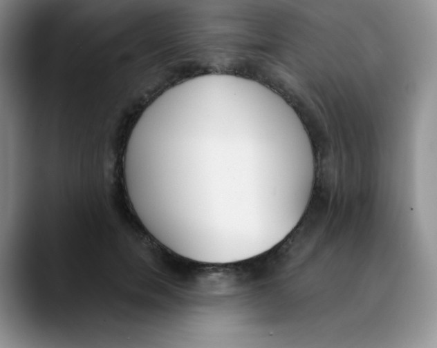 X0000089850750200707191902