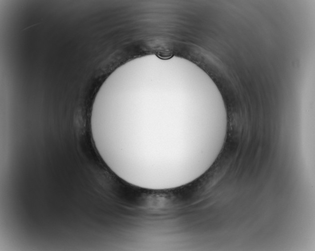 X0000089850751200707191902