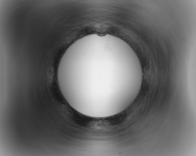 X0000089850752200707191902