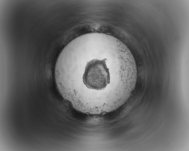 X0000089850754200707191902